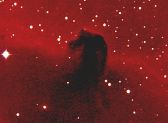 Nebulosa Testa di cavallo