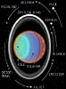 Urano, anelli e satelliti